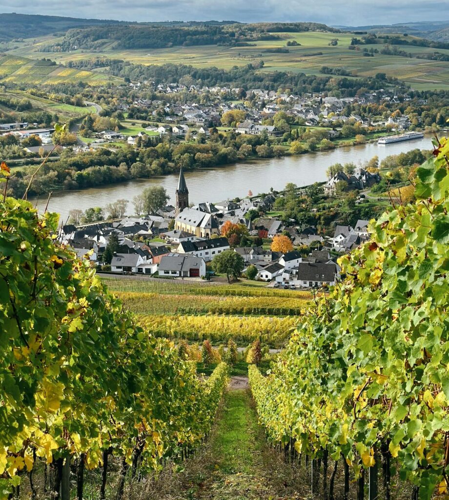 A beautiful vineyard scene overlooking a quaint German village beside a river.